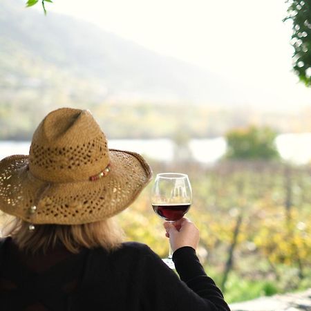 Quinta Das Casas - Douro Winery & Villas Віла-Реал Екстер'єр фото