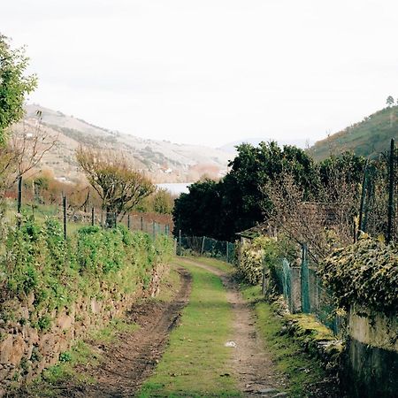 Quinta Das Casas - Douro Winery & Villas Віла-Реал Екстер'єр фото
