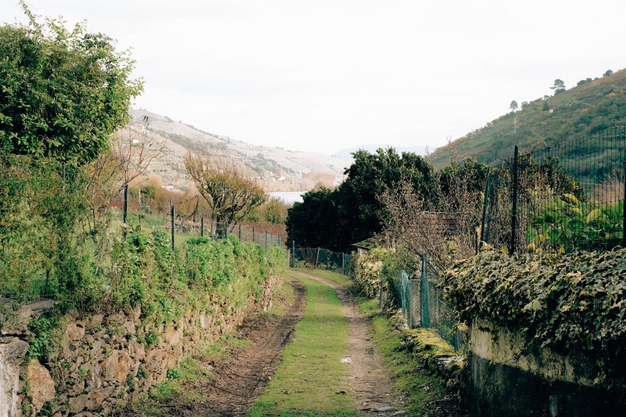 Quinta Das Casas - Douro Winery & Villas Віла-Реал Екстер'єр фото